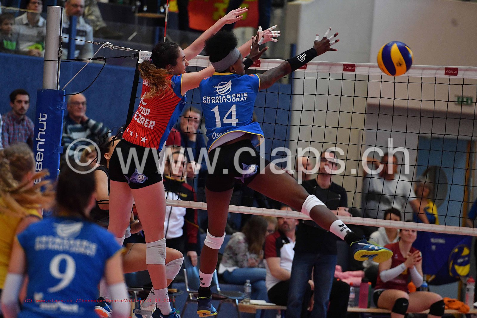 20190310_Cheseaux-GveVolley