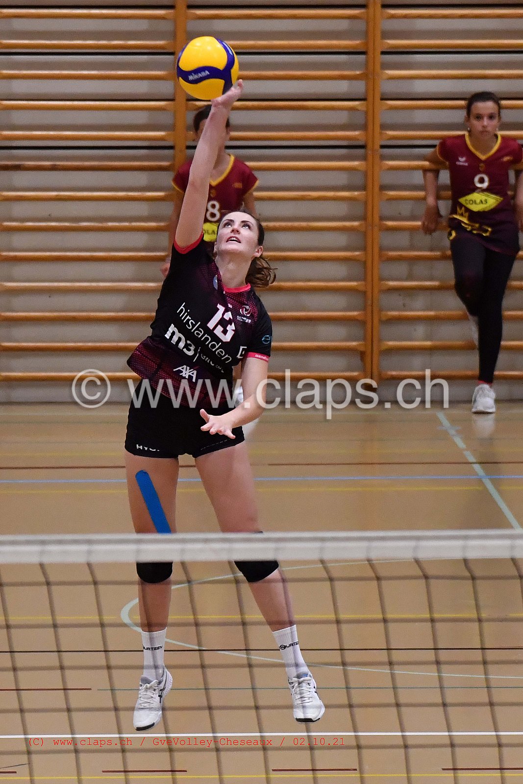 Genève Volley - Cheseaux