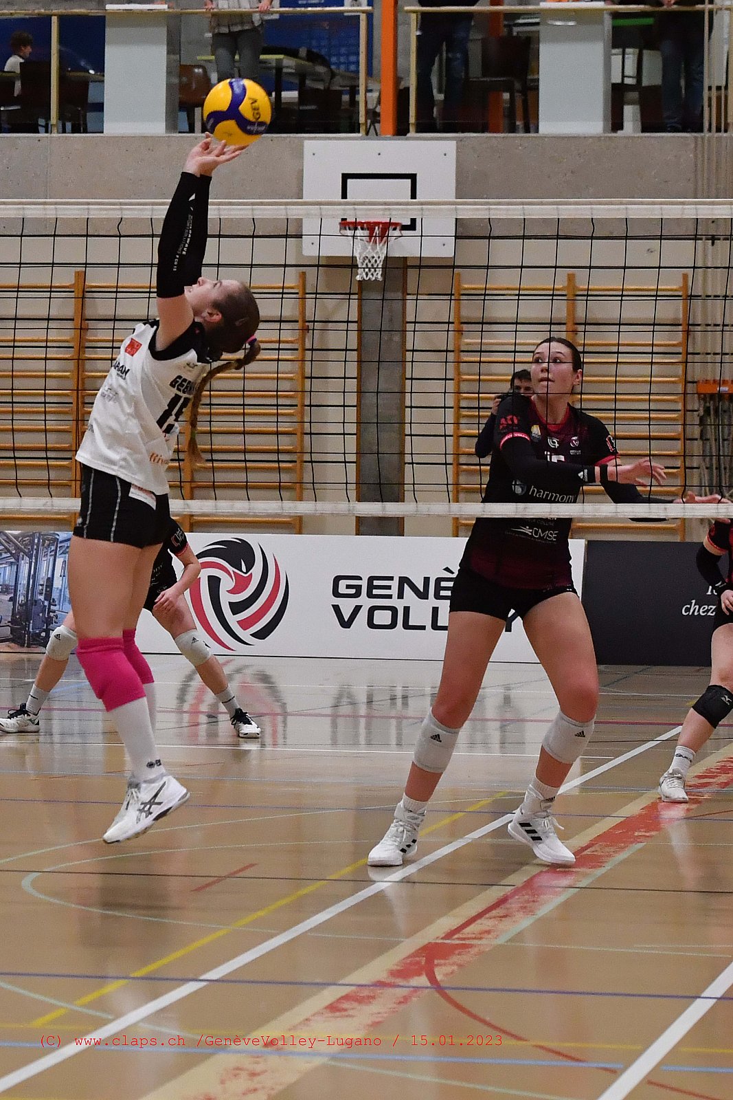 20230115 GenèveVolley - Lugano coupe Suisse