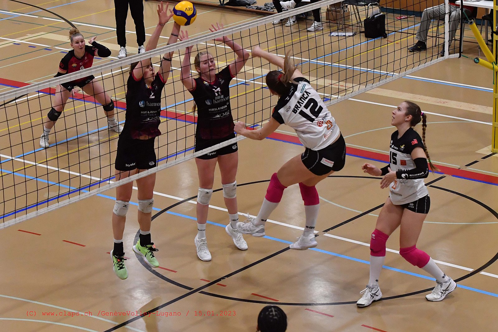 20230115 GenèveVolley - Lugano coupe Suisse