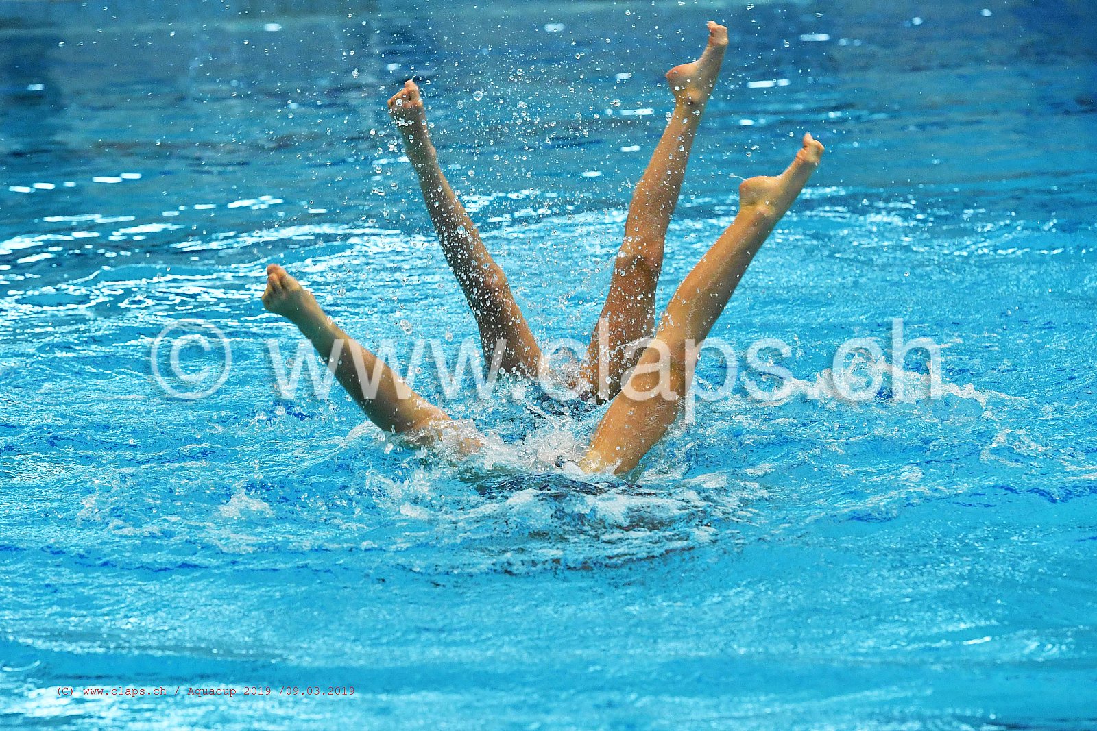 Aquacup_2019