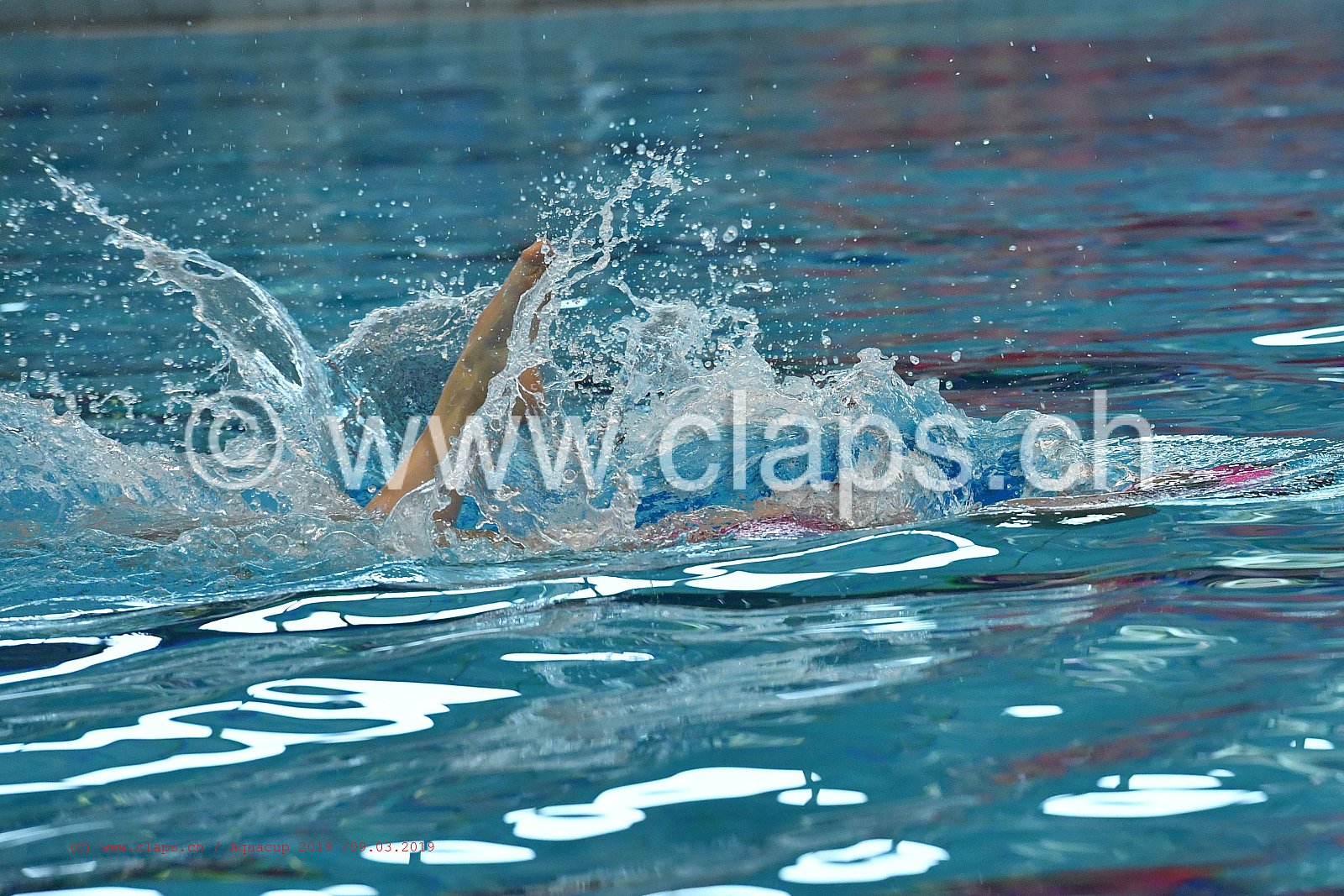 Aquacup_2019