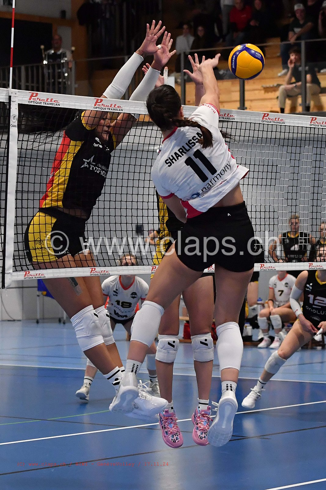 20241117_BIWI_INFOMANIAK_GENEVEVOLLEY