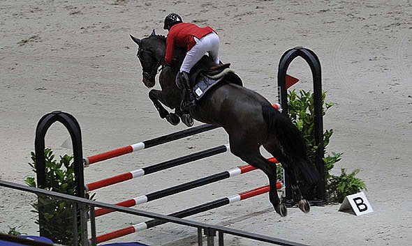 CSIO PALEXPO