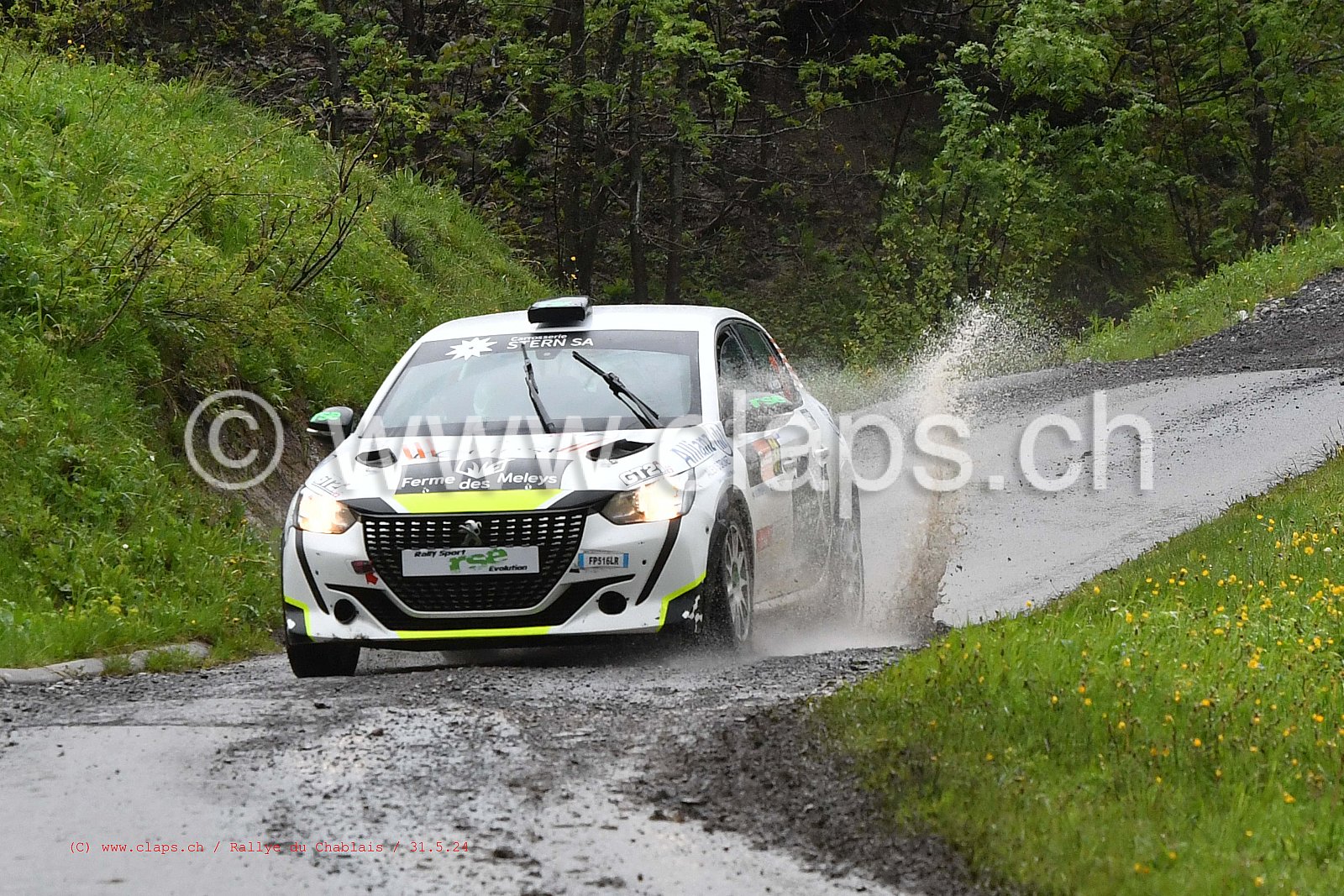 20240531 Rallye du Chablais ES 2 6