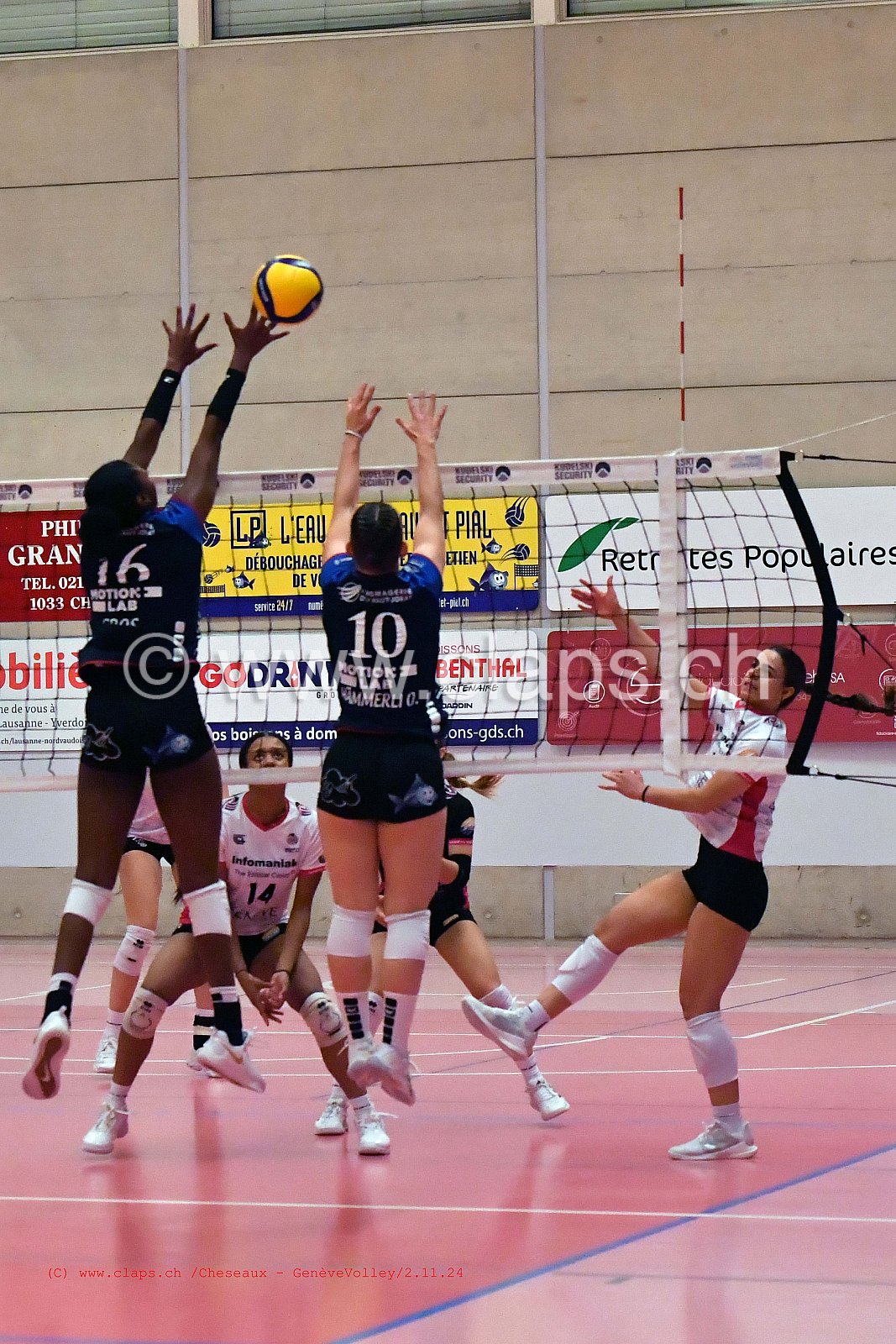 20241102_Cheseaux_GeneveVolley