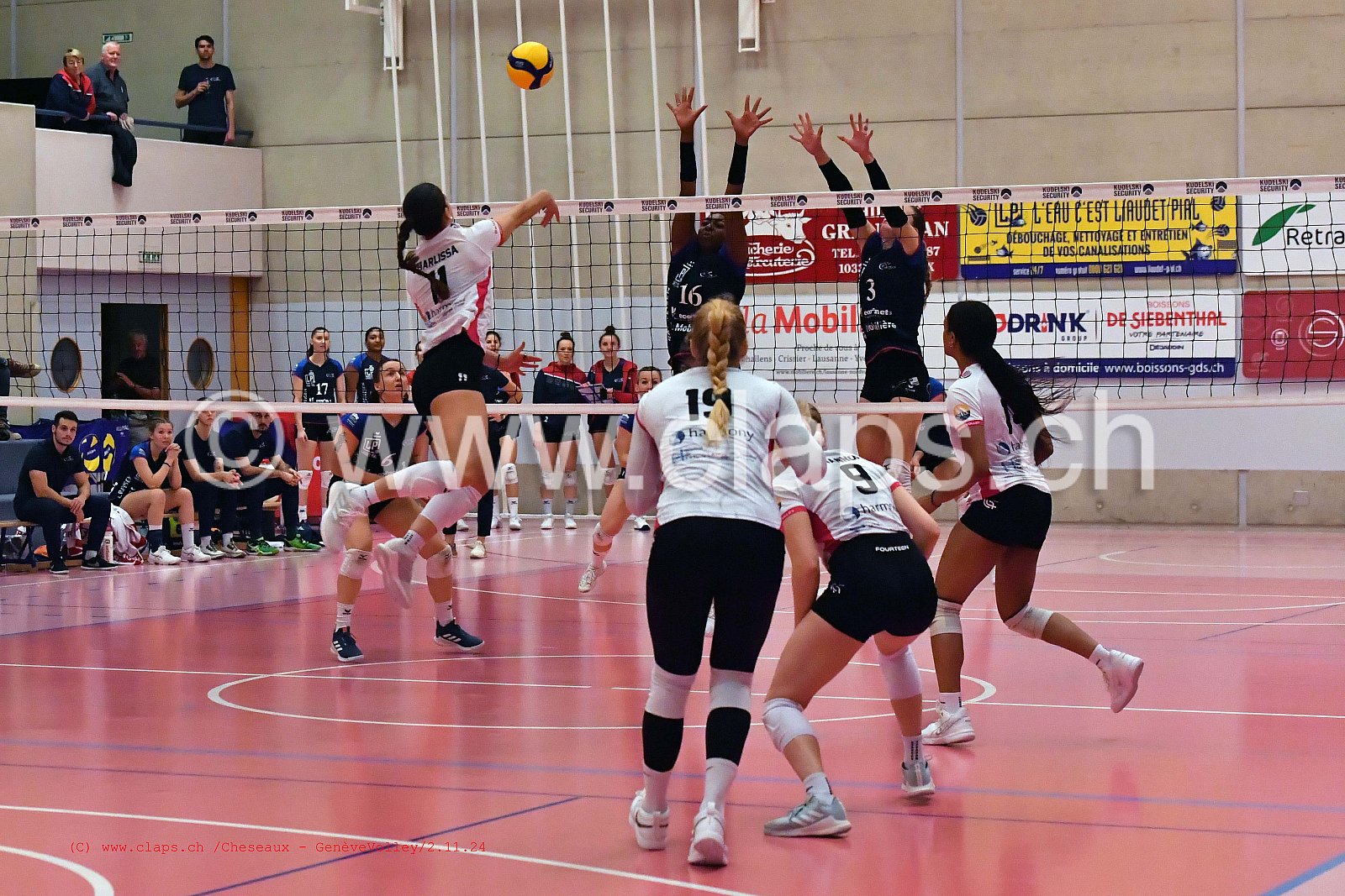 20241102_Cheseaux_GeneveVolley