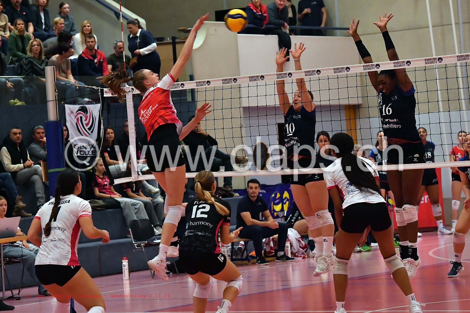 20241102_Cheseaux_GeneveVolley