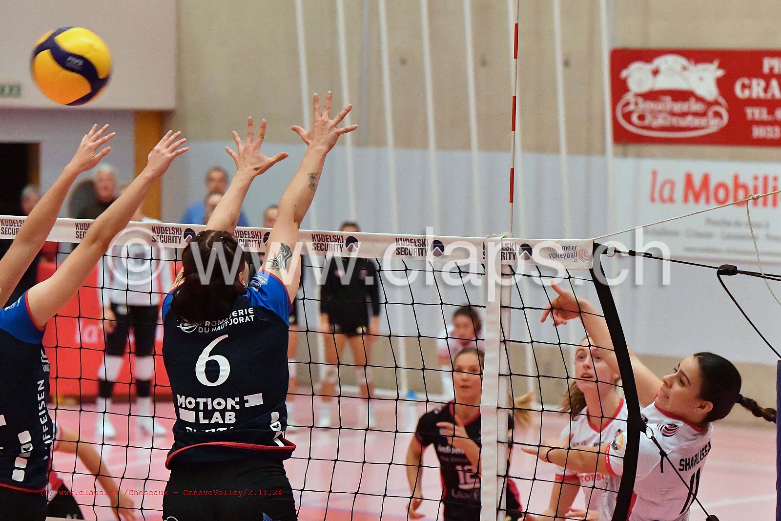 20241102_Cheseaux_GeneveVolley