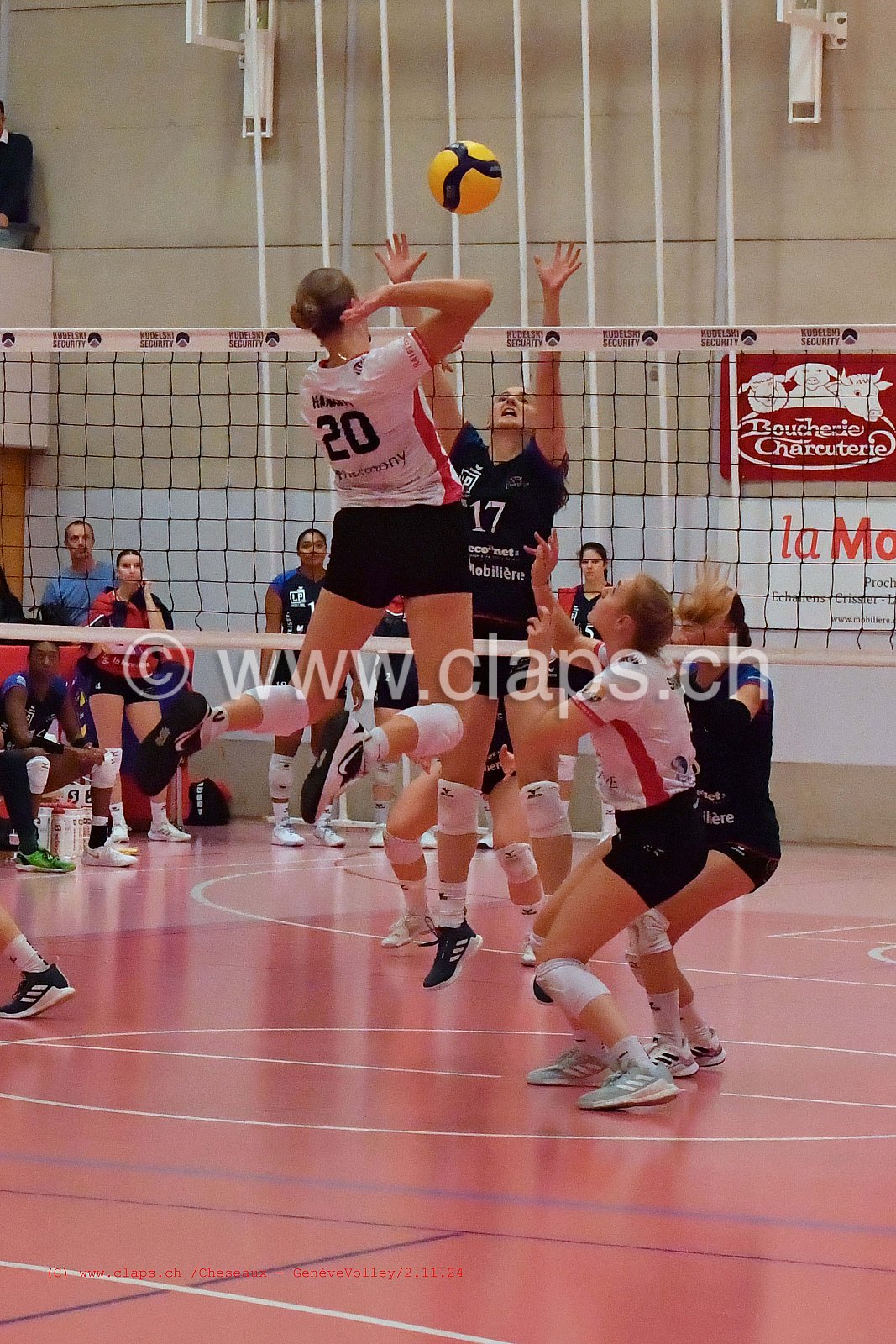 20241102_Cheseaux_GeneveVolley