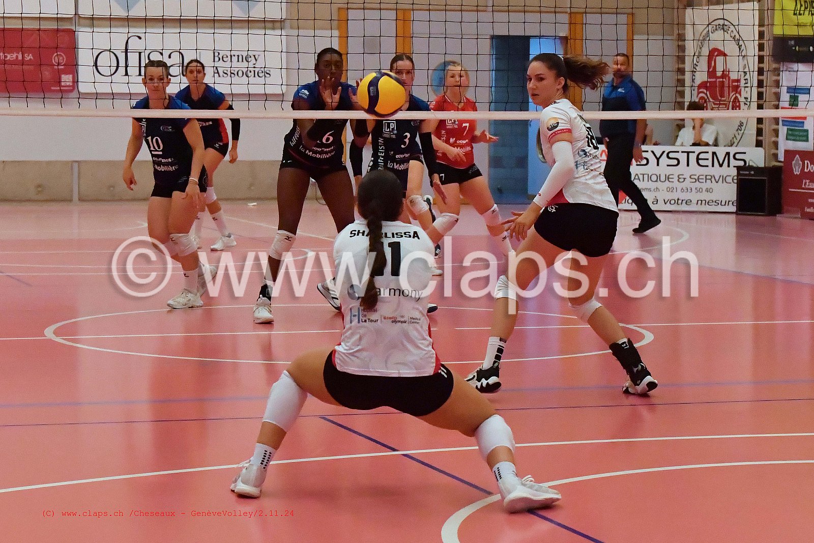 20241102_Cheseaux_GeneveVolley