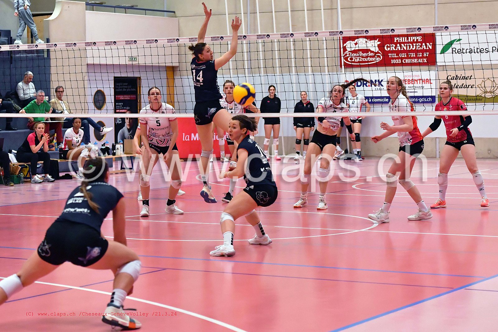 20240321_Cheseaux_GeneveVolley