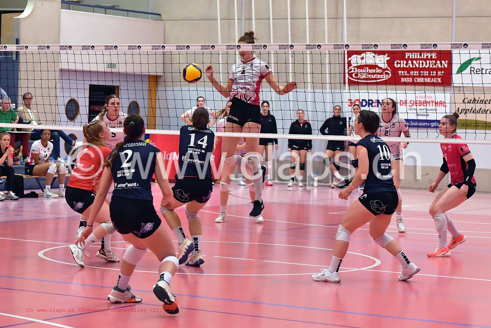 20240321_Cheseaux_GeneveVolley