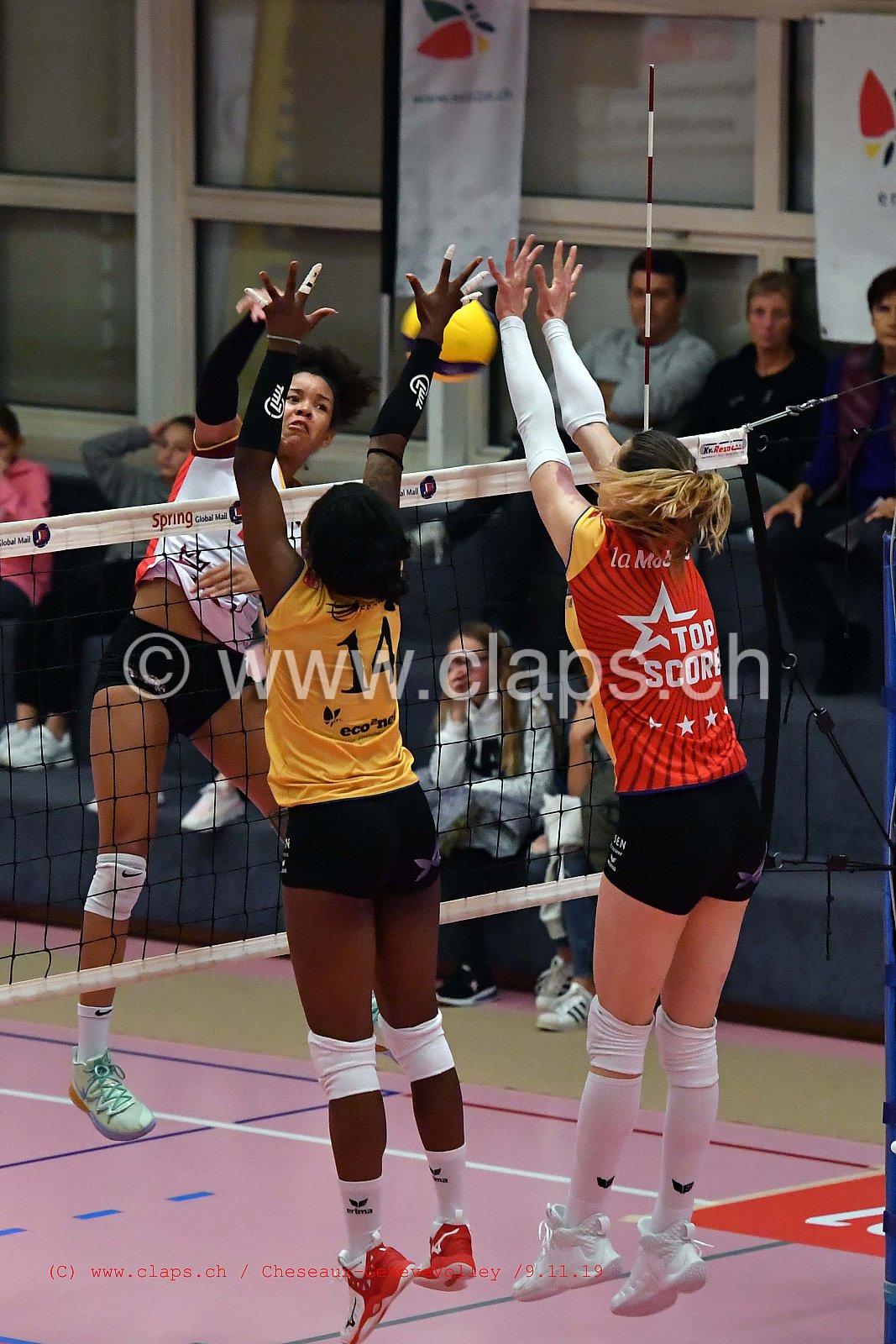 Cheseaux - GeneveVolley