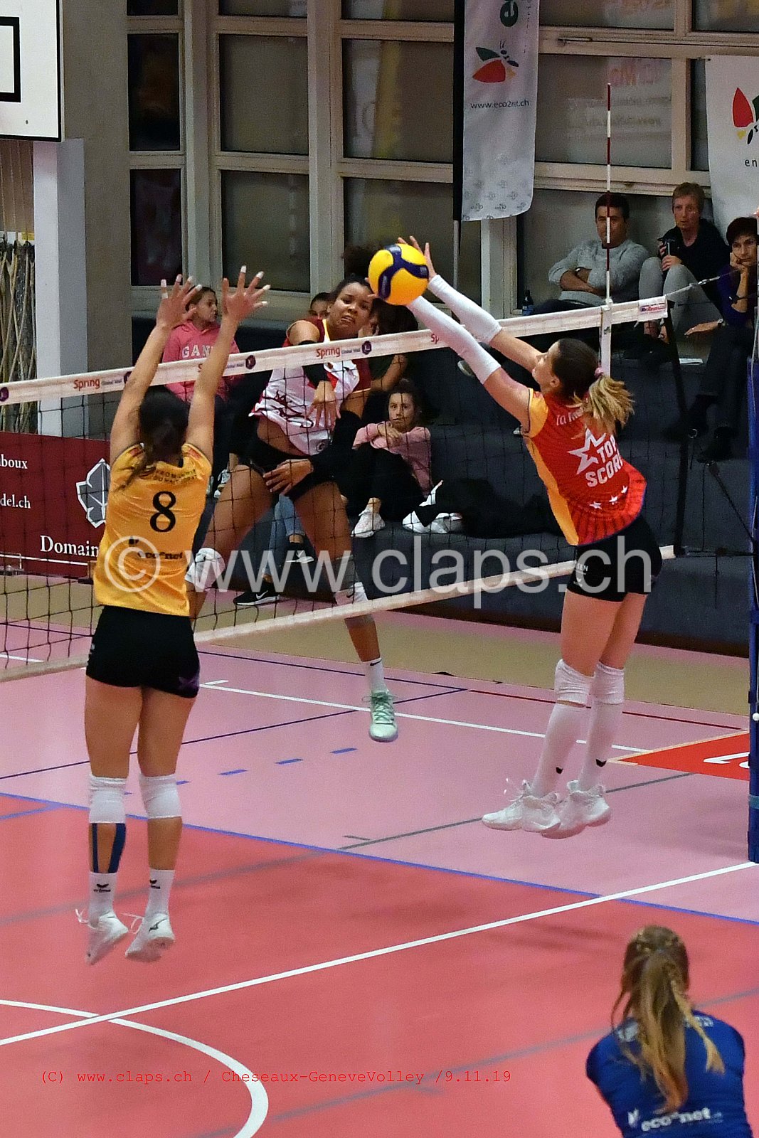 Cheseaux - GeneveVolley