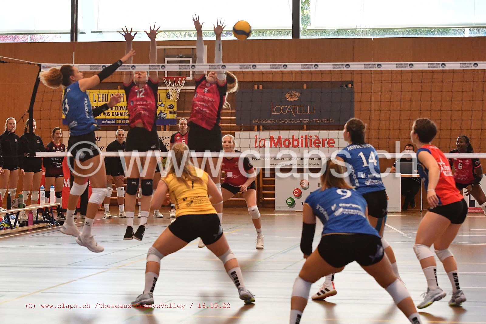 20221022 Cheseaux - Genève Volley