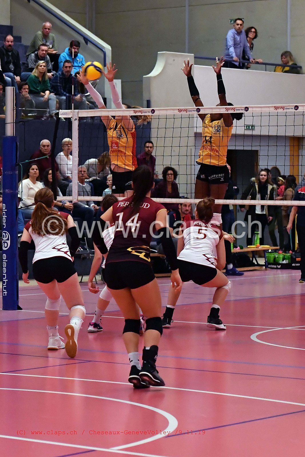 Cheseaux - GeneveVolley