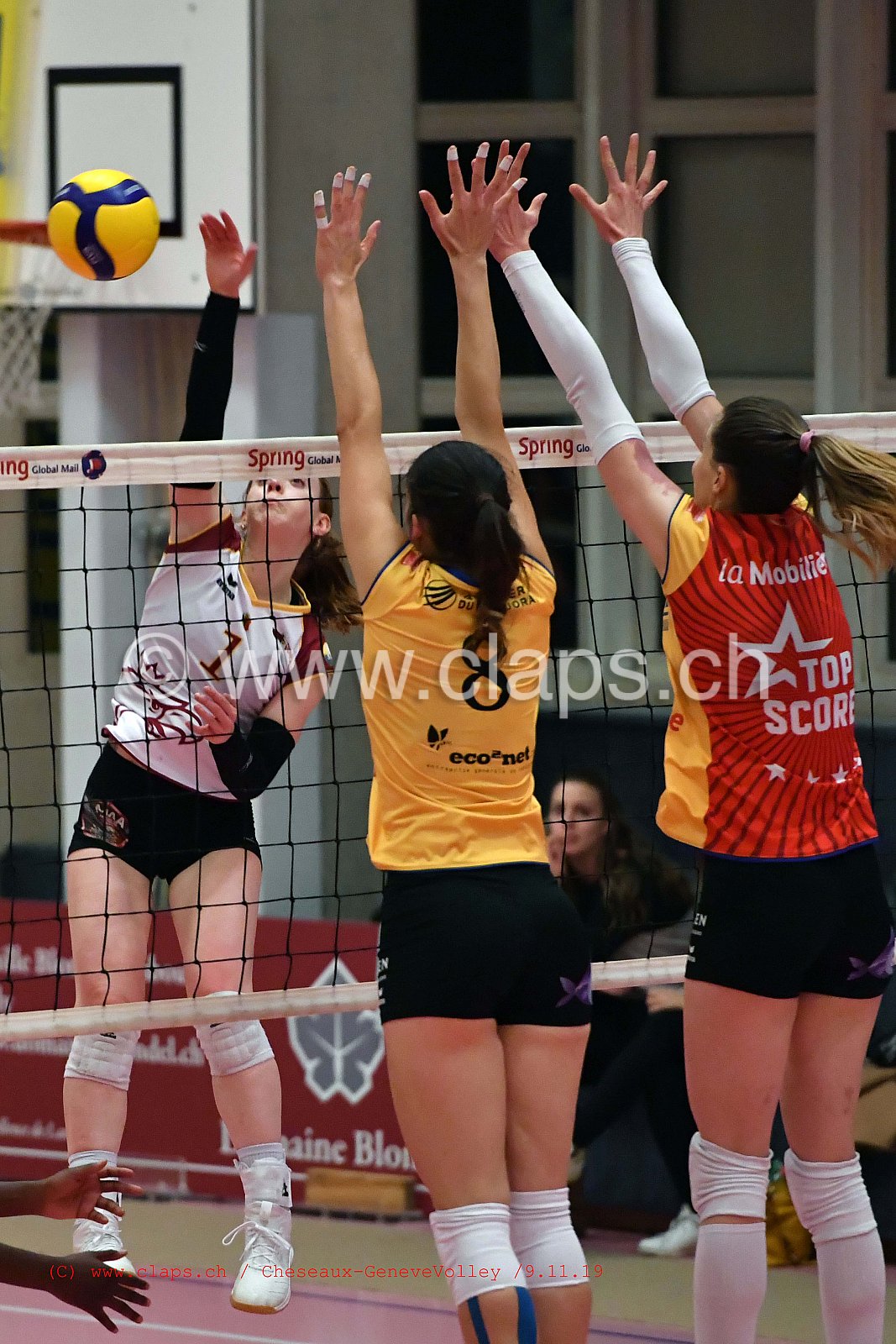 Cheseaux - GeneveVolley