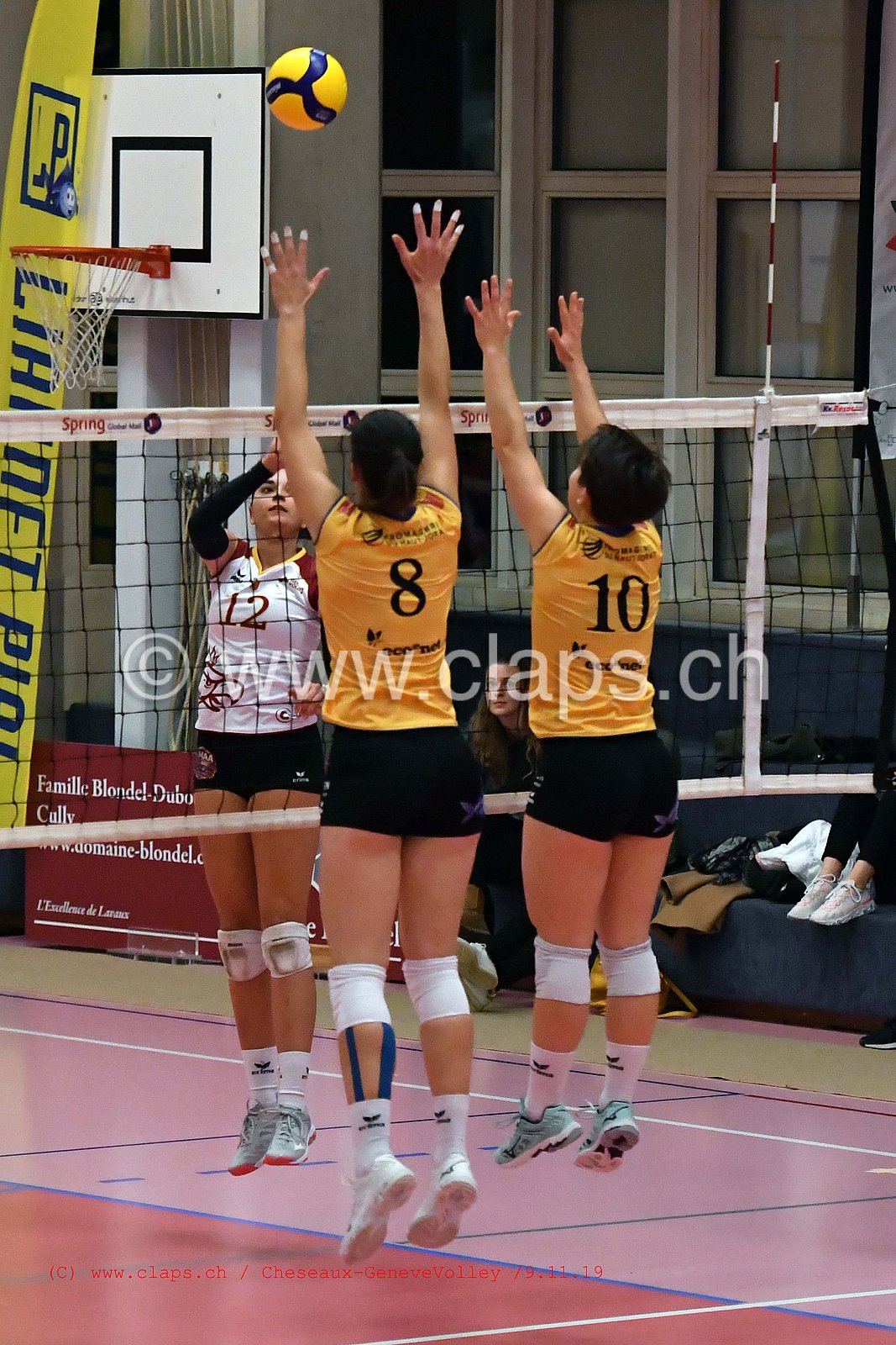 Cheseaux - GeneveVolley