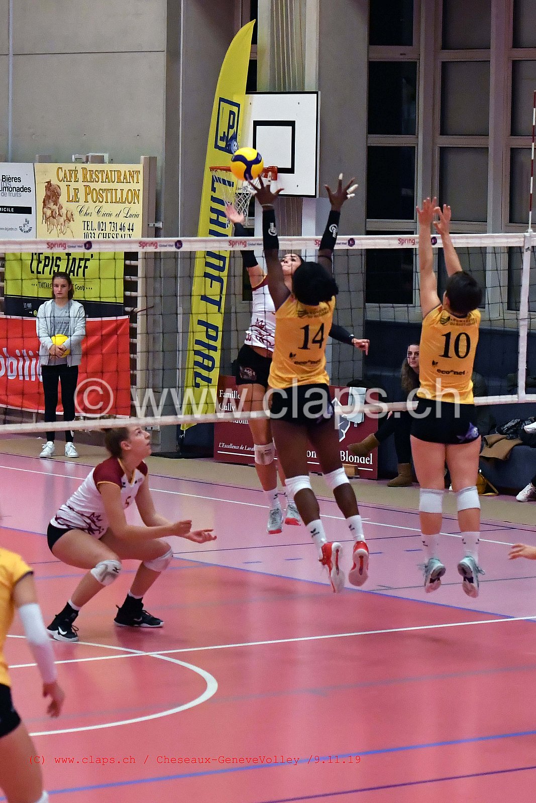 Cheseaux - GeneveVolley