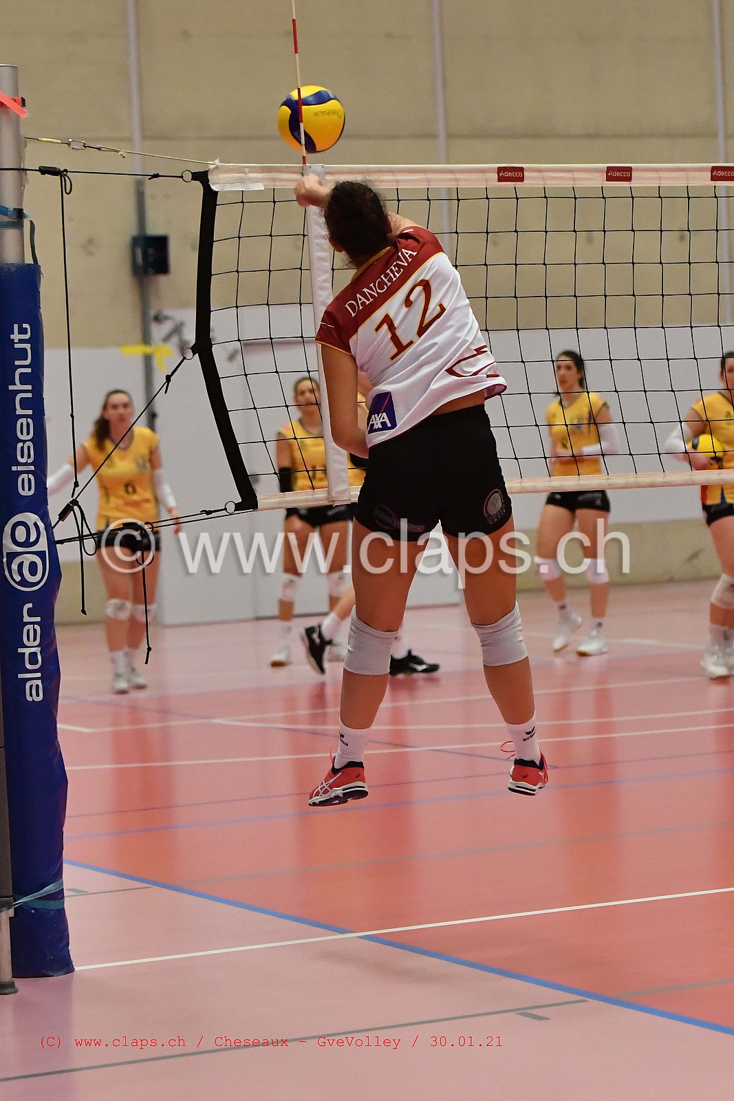 Cheseaux Genève Volley