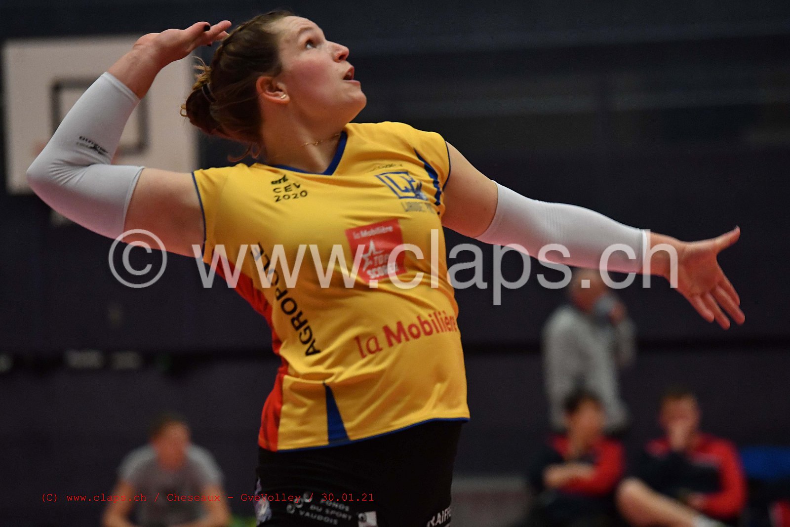 Cheseaux Genève Volley