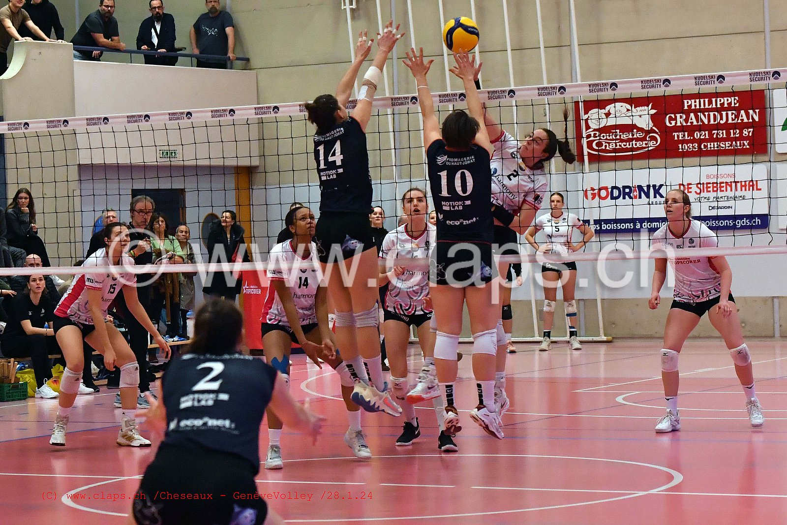 20240128 Cheseaux - GeneveVolley coupe suisse