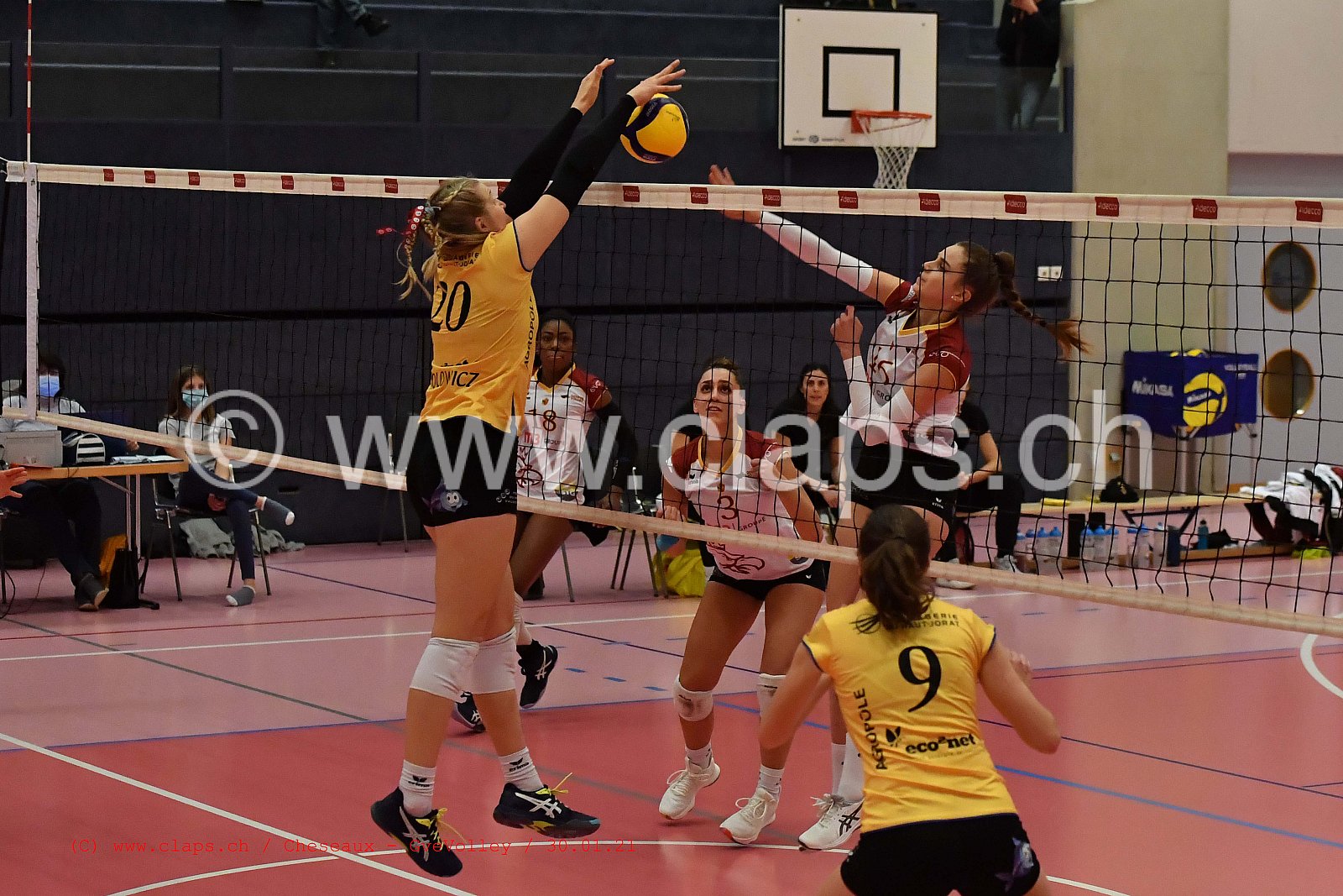 Cheseaux Genève Volley