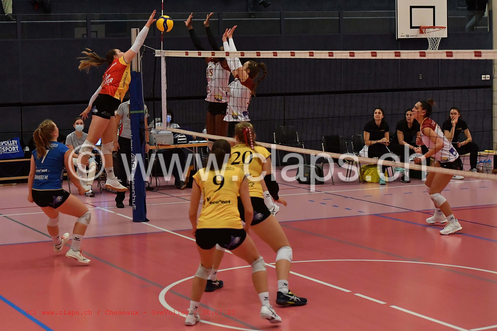 Cheseaux Genève Volley