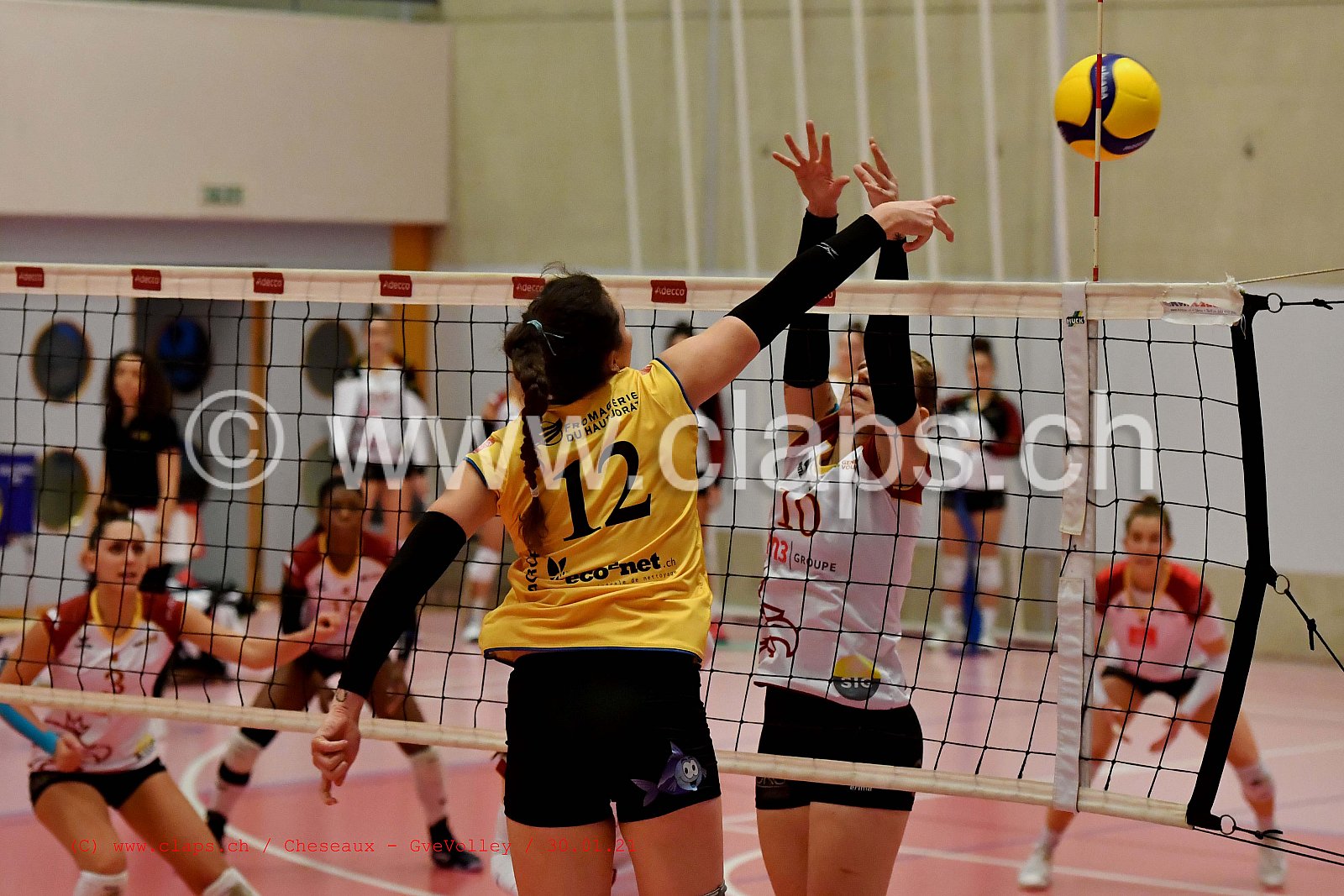 Cheseaux Genève Volley