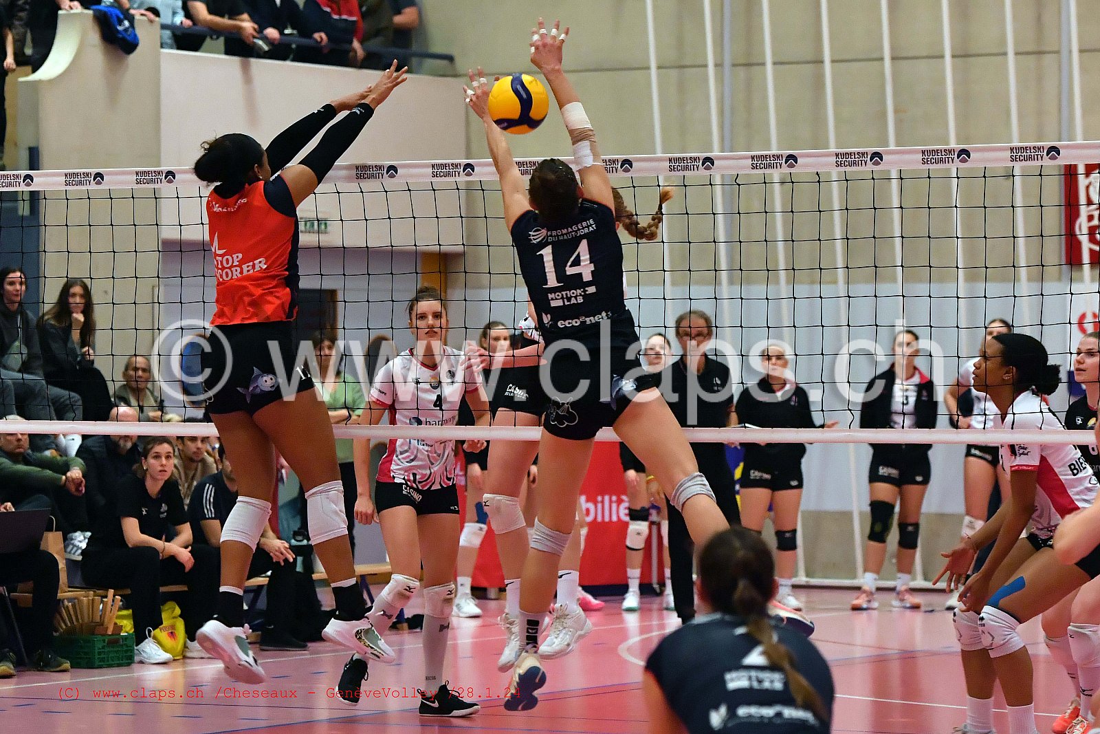 20240128 Cheseaux - GeneveVolley coupe suisse