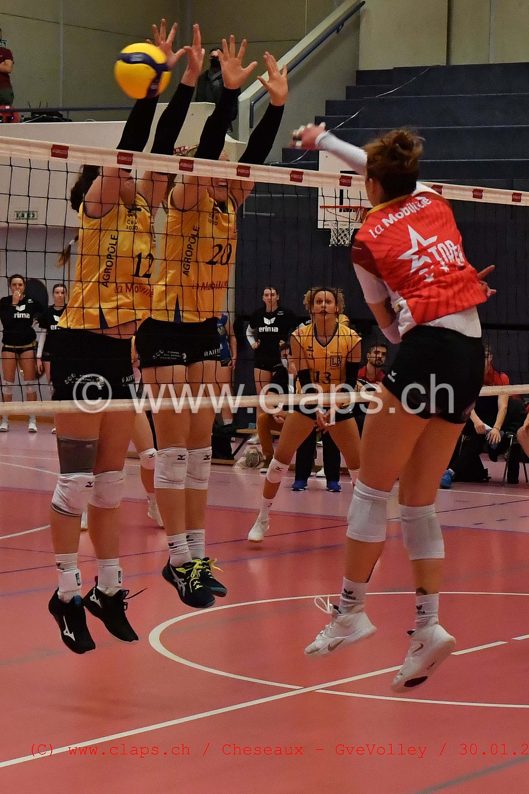 Cheseaux Genève Volley
