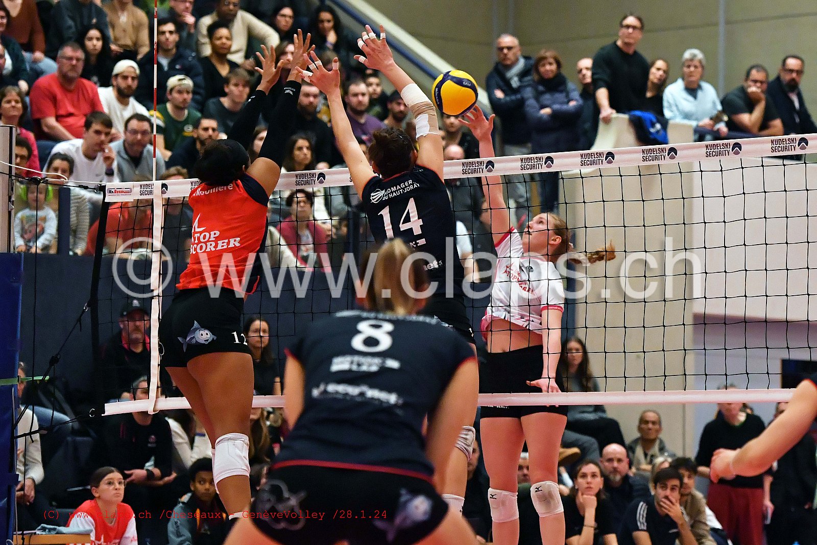 20240128 Cheseaux - GeneveVolley coupe suisse