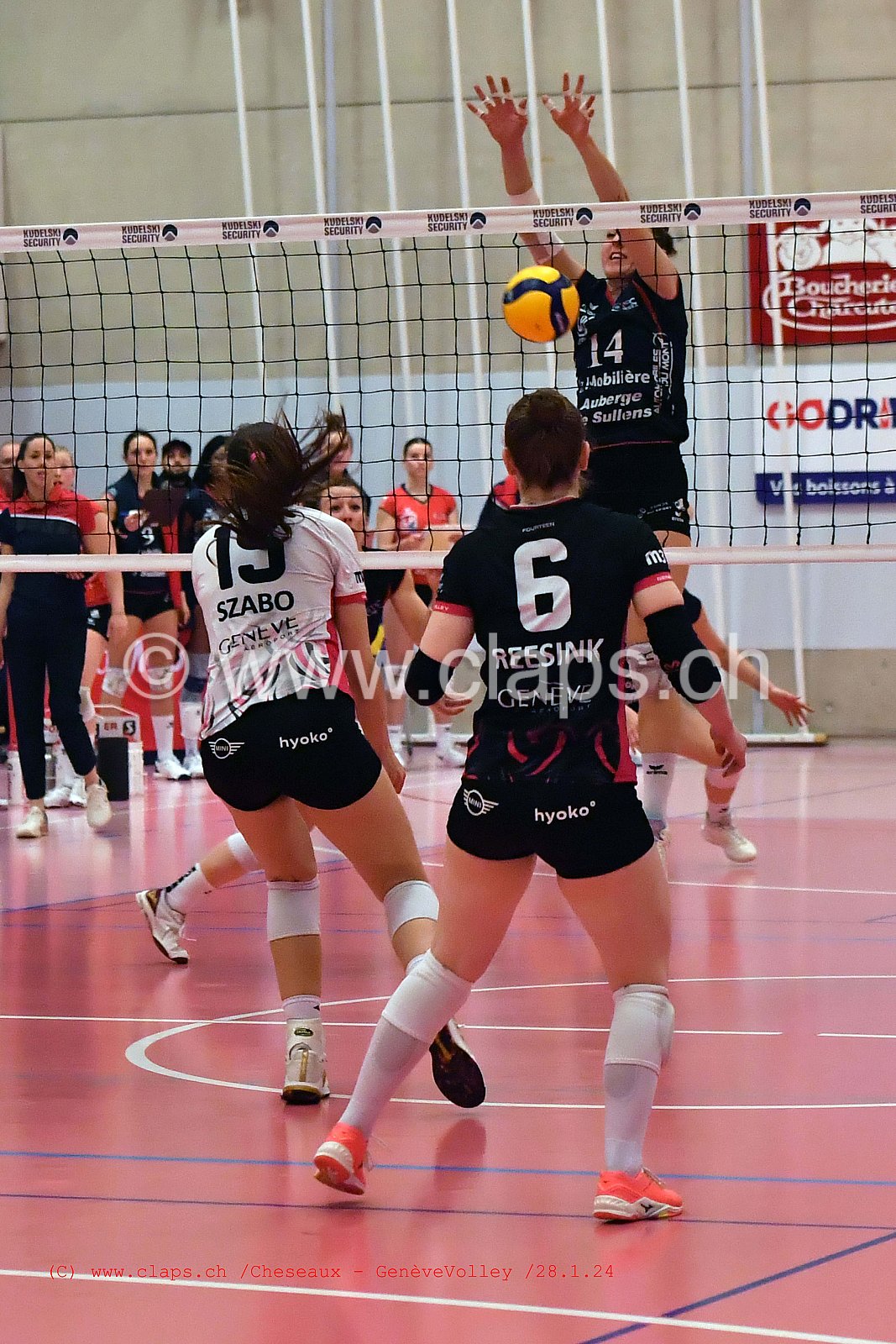 20240128 Cheseaux - GeneveVolley coupe suisse