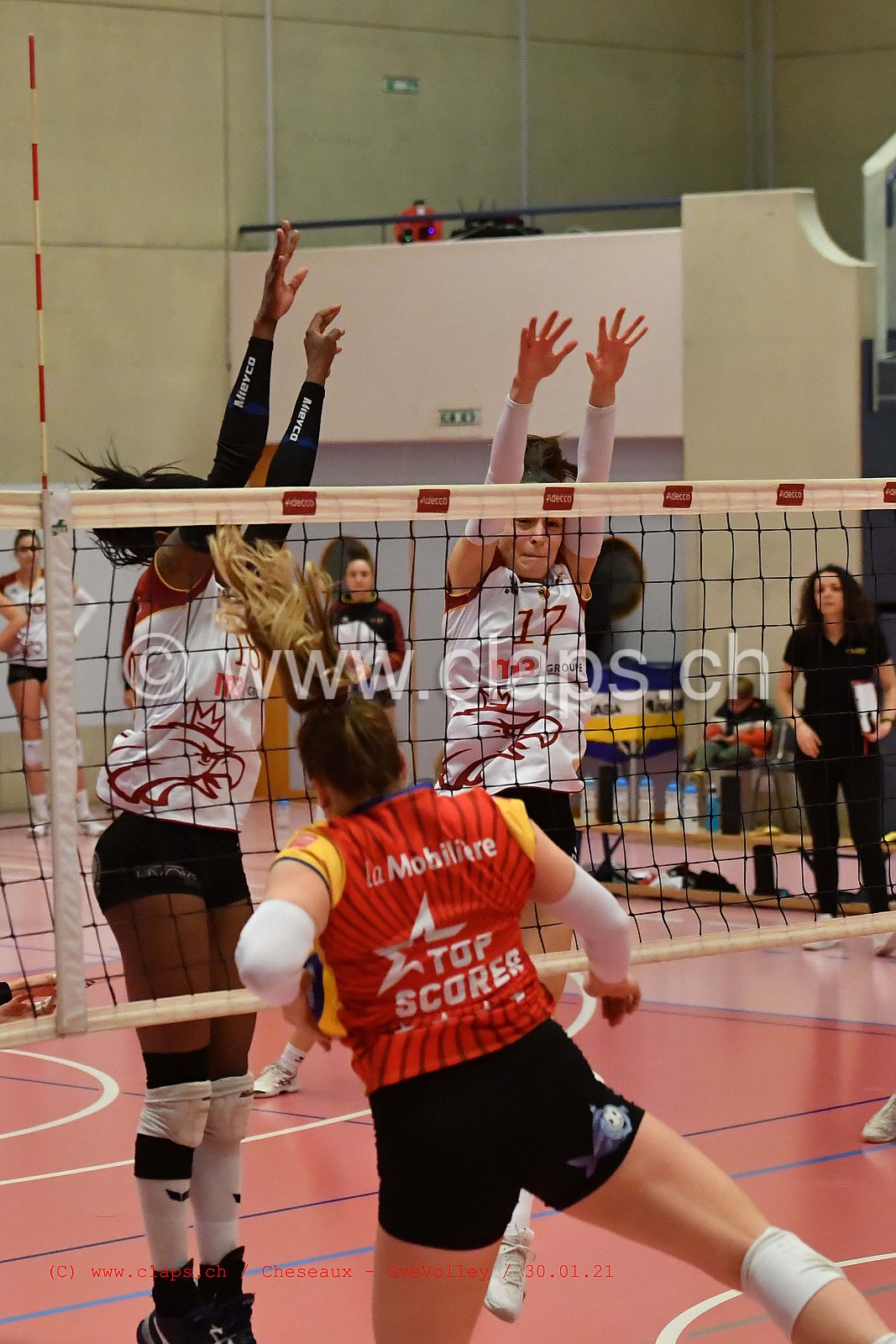 Cheseaux Genève Volley