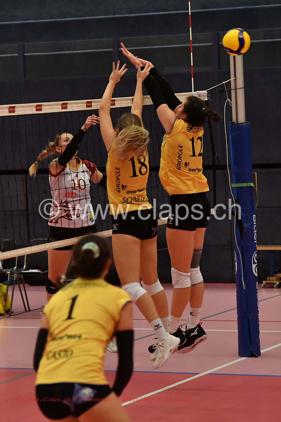 Cheseaux Genève Volley
