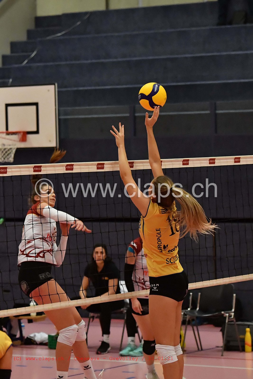 Cheseaux Genève Volley