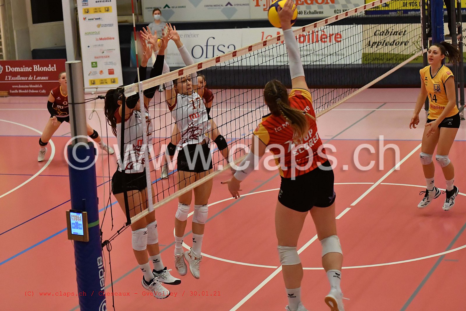Cheseaux Genève Volley