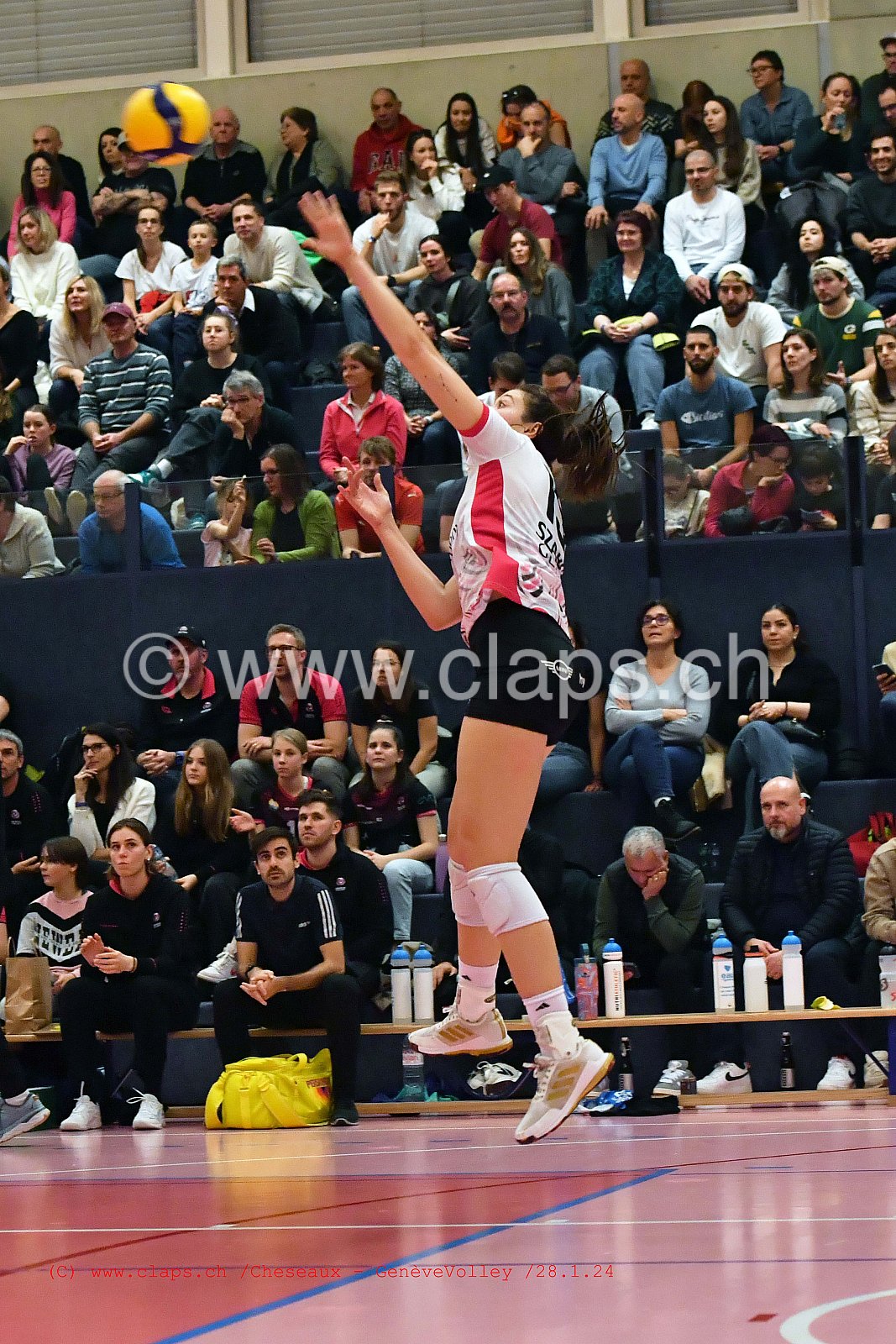 20240128 Cheseaux - GeneveVolley coupe suisse