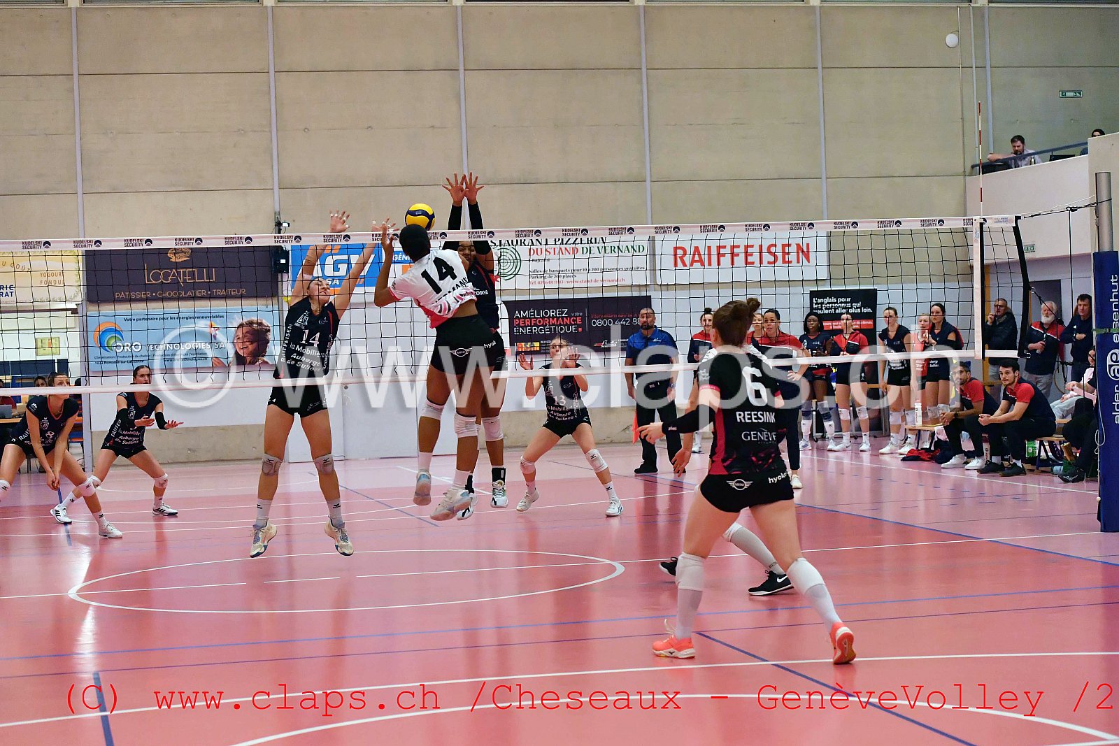20240128 Cheseaux - GeneveVolley coupe suisse