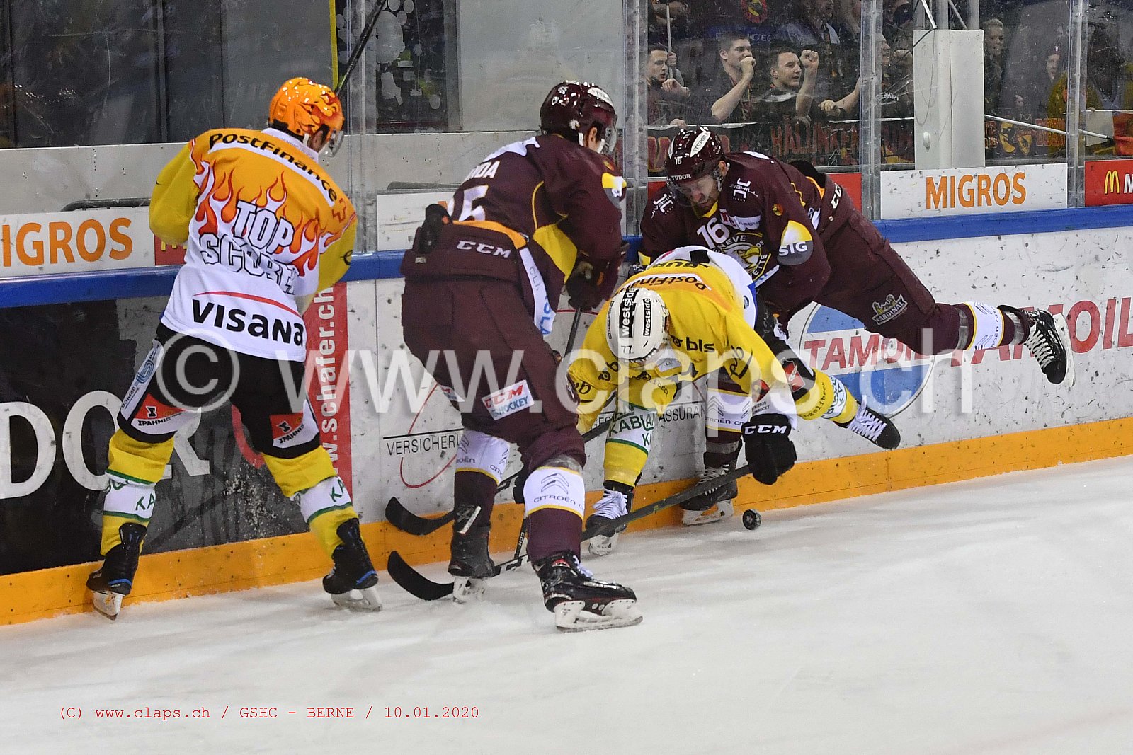 GSHC - BERNE