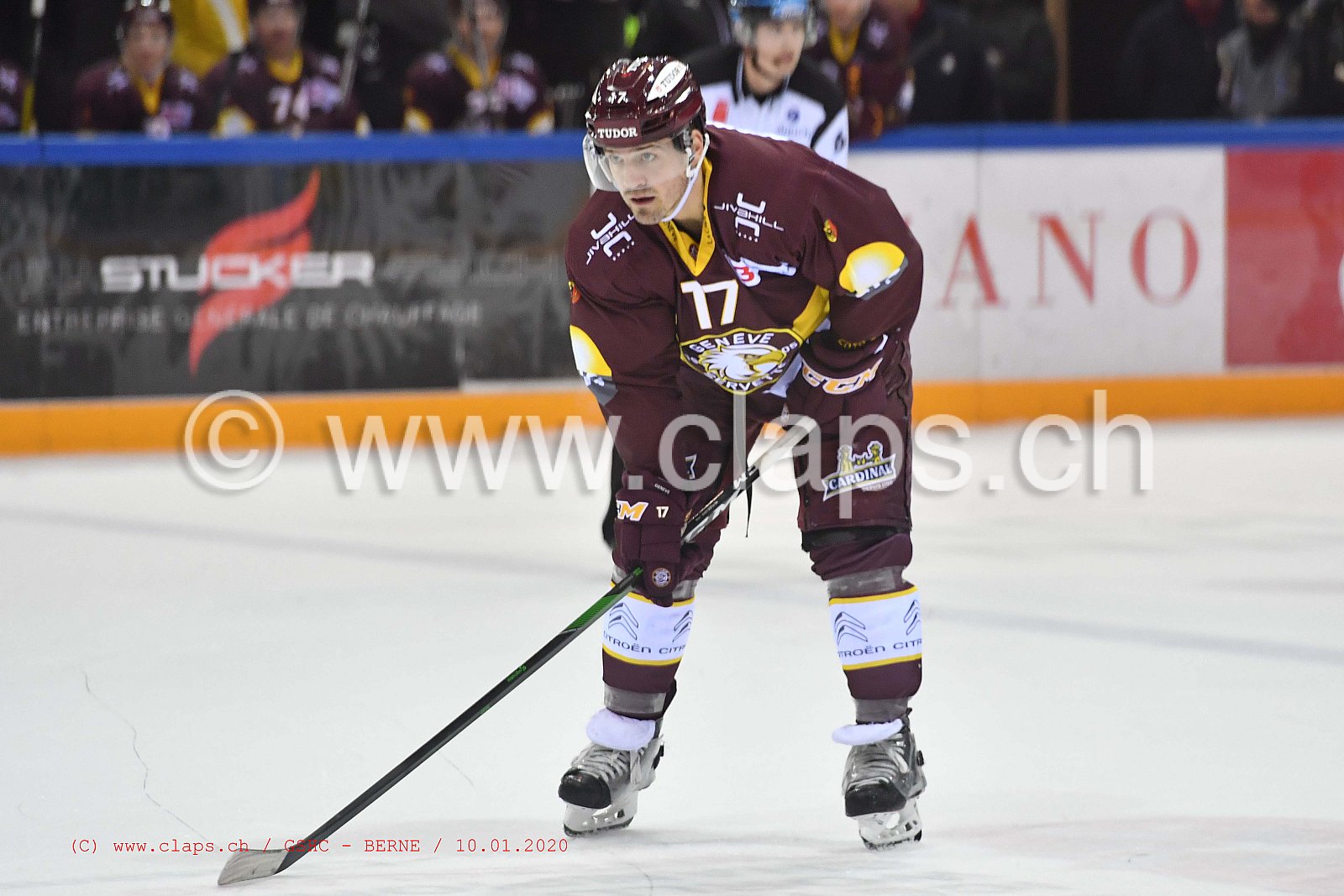 GSHC - BERNE