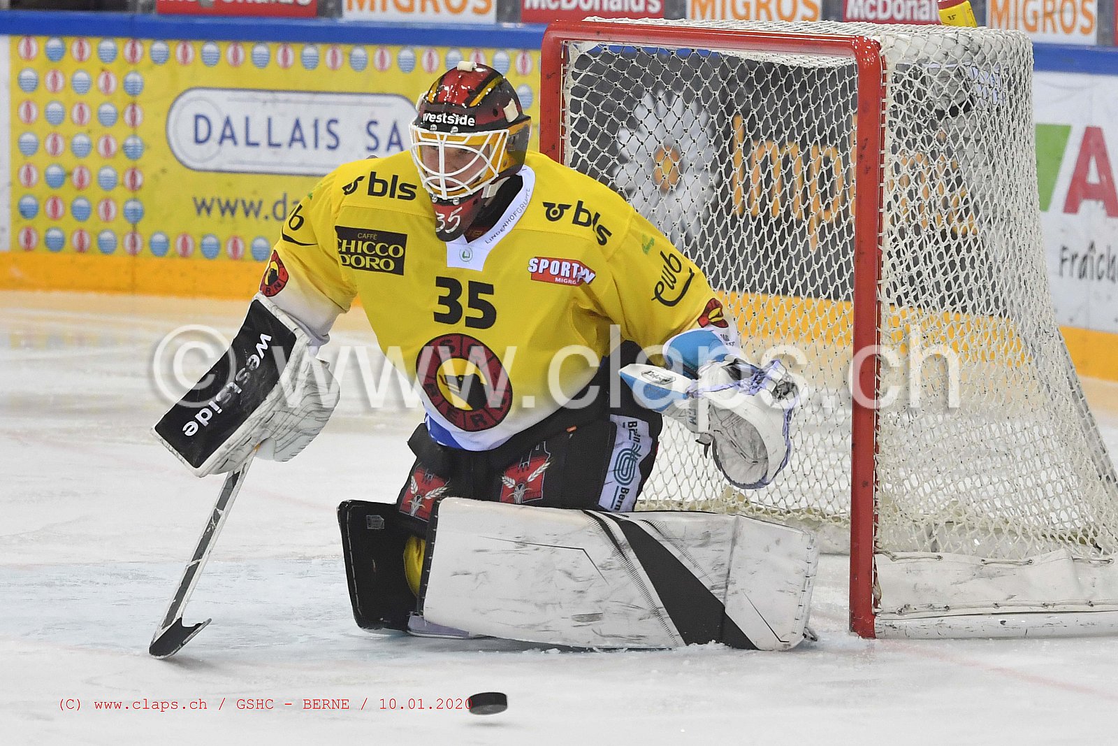GSHC - BERNE