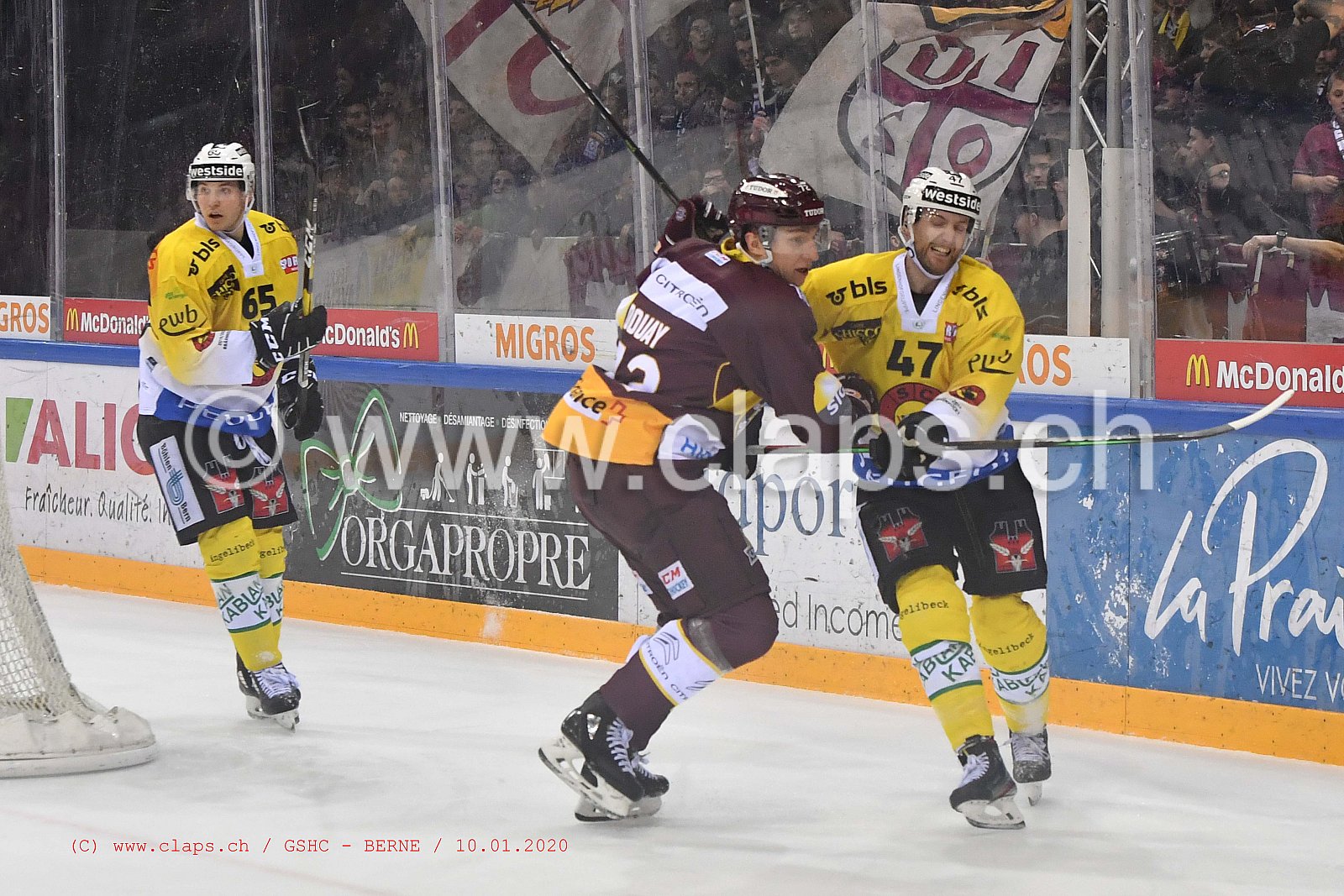 GSHC - BERNE