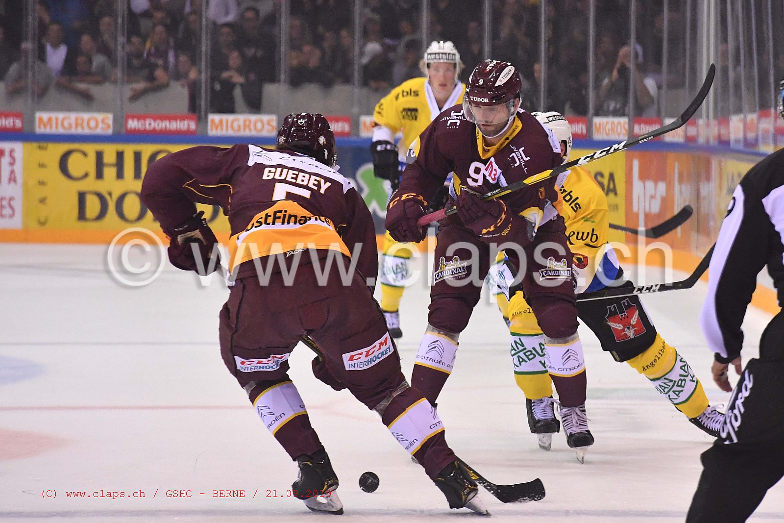 GSHC - BERNE