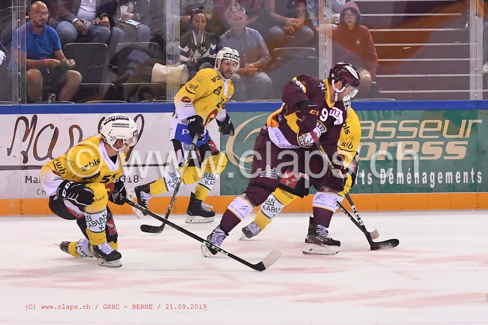 GSHC - BERNE