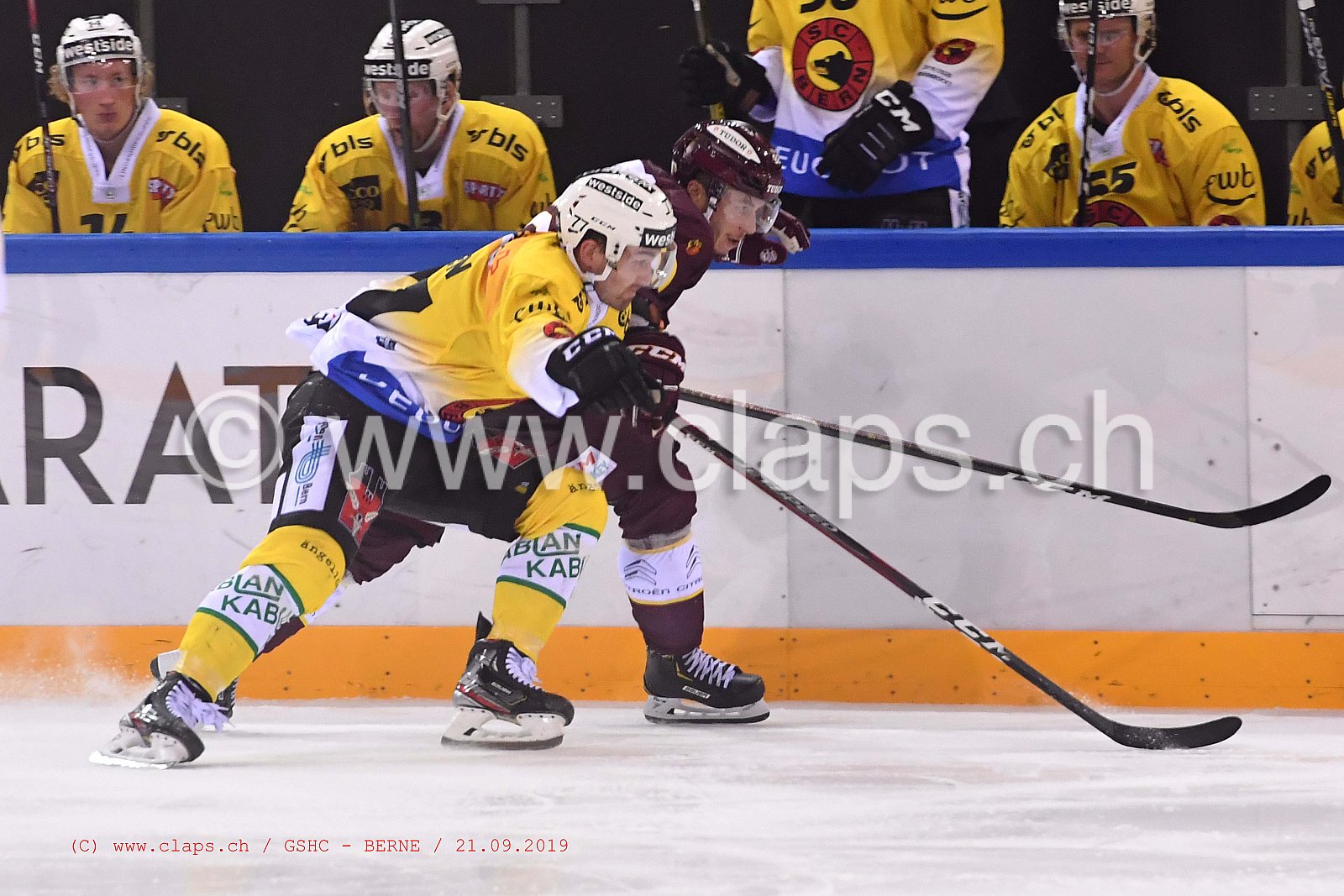 GSHC - BERNE