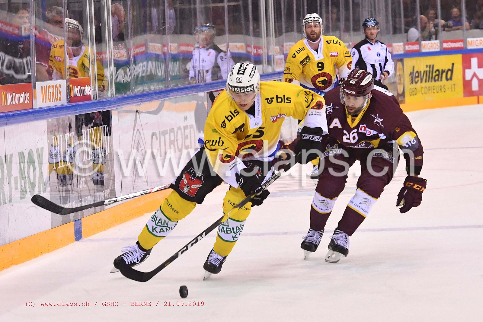 GSHC - BERNE