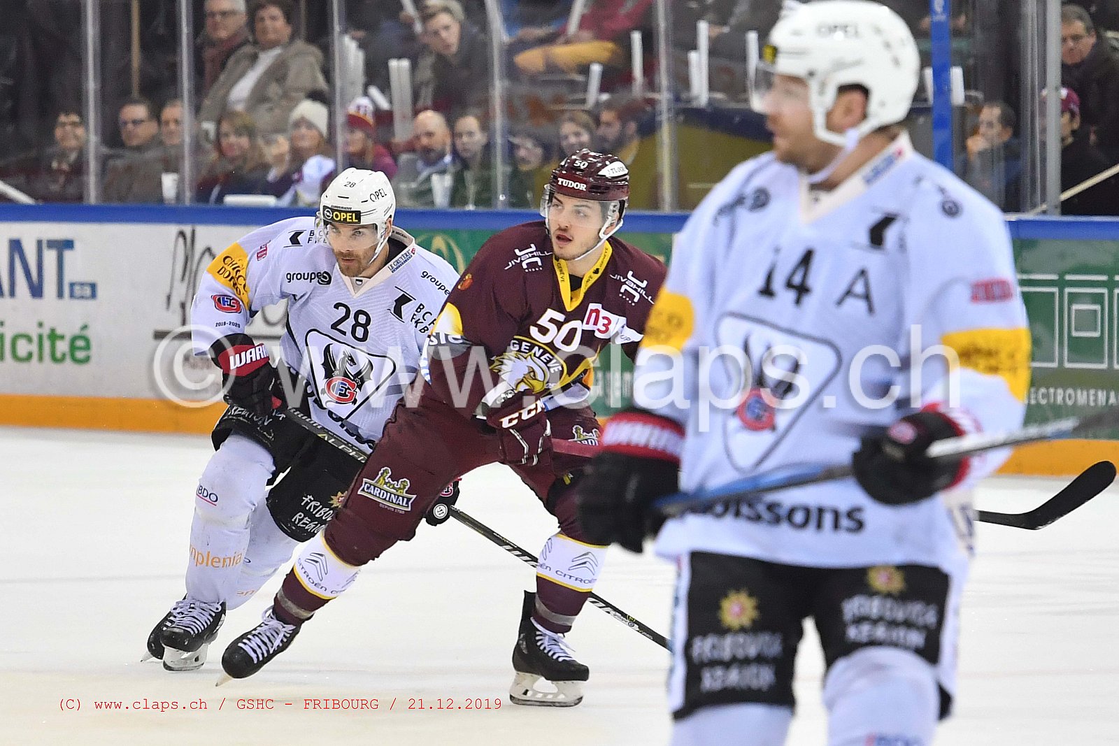 GSHC - Fribourg