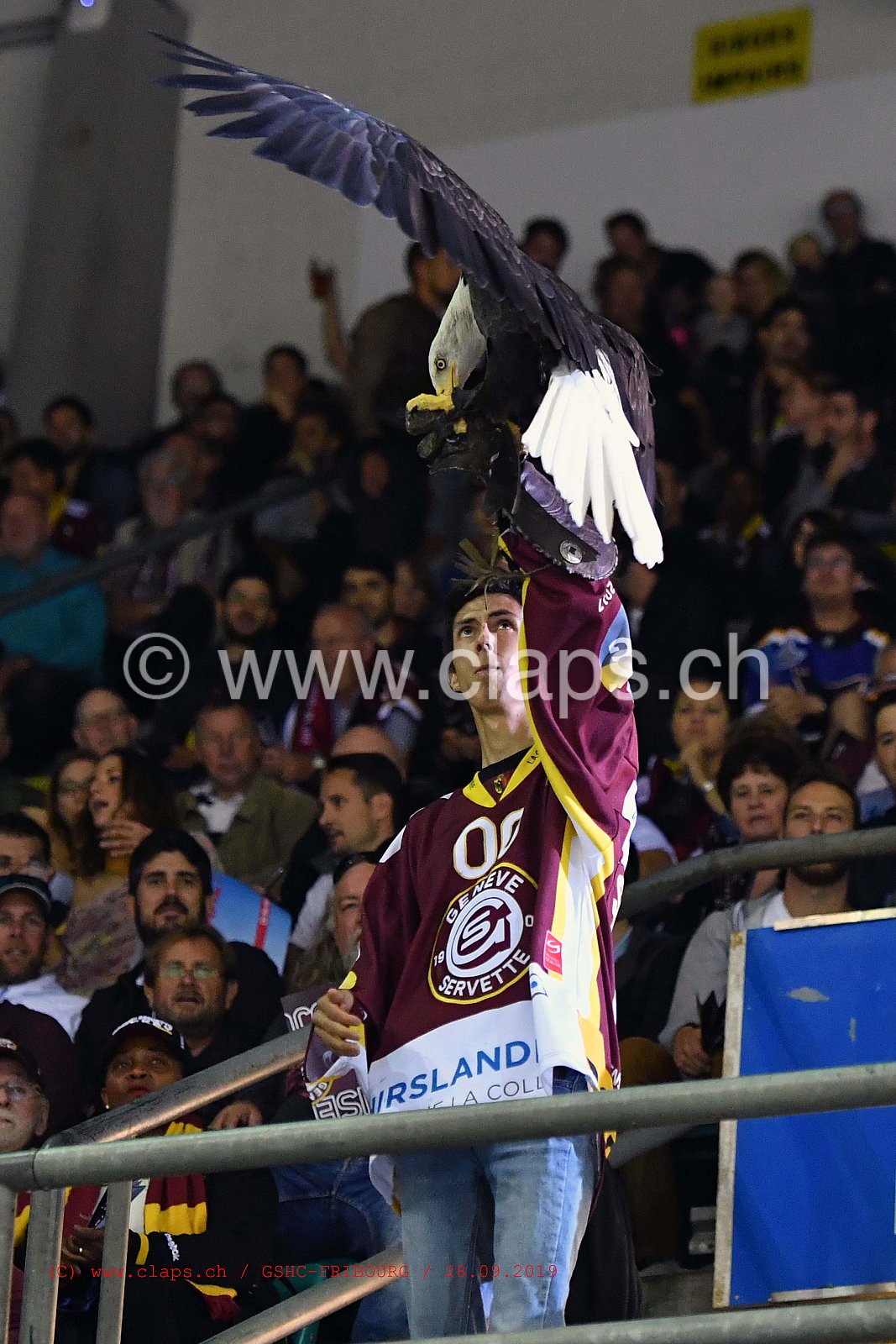 GSHC - FRIBOURG